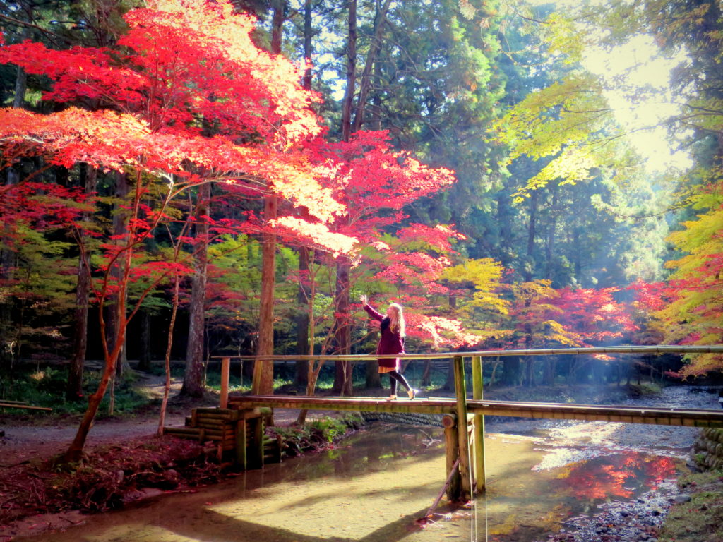 静岡観光 紅葉を見るなら小国神社がおすすめ 渋滞回避法も紹介するよ ペタエリ英語