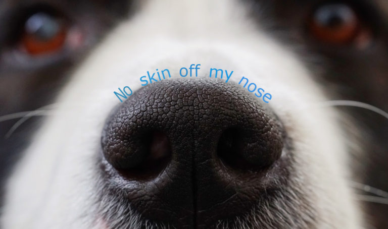 no-skin-off-my-nose